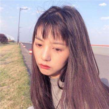 动物园经营中文版